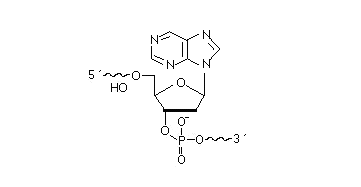 2′-DeoxyNebularine
