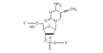 5-(1-Propynyl)-dC (pdC)