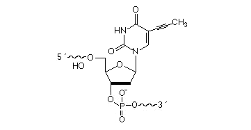 5-(1-Propynyl)-dU (pdU)