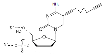 C8-Alkyne-dC