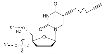 C8-Alkyne-dT